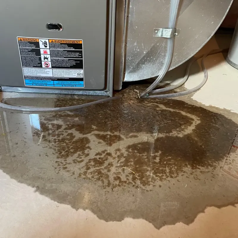 Appliance Leak Cleanup in Licking County, OH